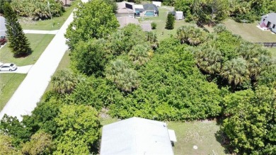 Vacant lot in a well established community with power 80X125 - photo 12