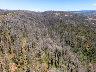 Spectacular mountain views, privacy, and endless possibilities - photo 12