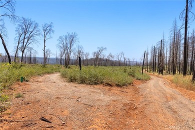 Spectacular mountain views, privacy, and endless possibilities - photo 13