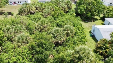 Vacant lot in a well established community with power 80X125 - photo 14
