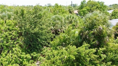 Vacant lot in a well established community with power 80X125 - photo 15