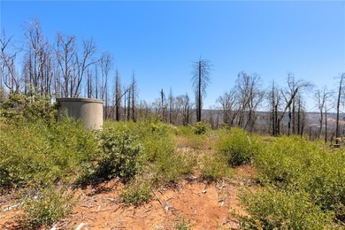 Spectacular mountain views, privacy, and endless possibilities - photo 16