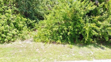 Vacant lot in a well established community with power 80X125 - photo 19