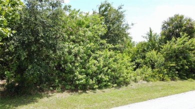 Vacant lot in a well established community with power 80X125 - photo 20