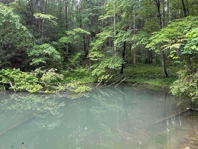 (private lake, pond, creek) Acreage For Sale in Hartford Tennessee