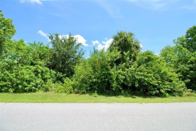 Vacant lot in a well established community with power 80X125 - photo 21