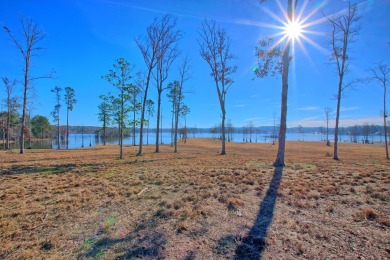 This gorgeous Texas waterfront is the perfect place for a - Lake Lot For Sale in Burkeville, Texas