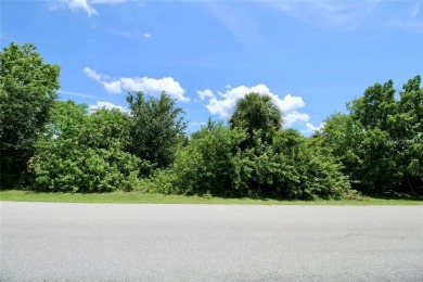 Vacant lot in a well established community with power 80X125 - photo 22