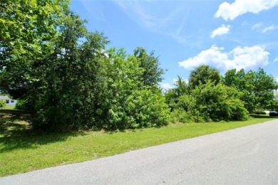 Vacant lot in a well established community with power 80X125 - photo 23