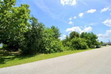 Vacant lot in a well established community with power 80X125 - photo 26