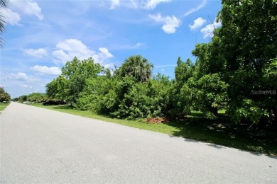 Vacant lot in a well established community with power 80X125 - photo 27
