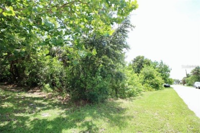 Vacant lot in a well established community with power 80X125 - photo 28