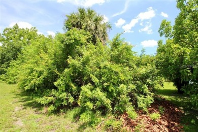 Vacant lot in a well established community with power 80X125 - photo 29
