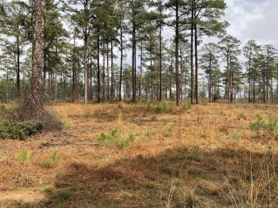 BEAUTIFUL HOMESITE IN SAM RAYBURN SHORES!  One look and you will - Lake Lot For Sale in Brookeland, Texas