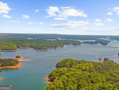 Make your lake life dream come true with this charming, unique - photo 52