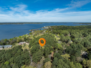 Wooded Lots in Lake Palestine Community - photo 7