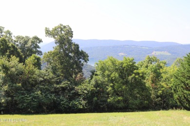 Lake Lot For Sale in New Tazewell, Tennessee