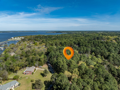 Wooded Lots in Lake Palestine Community - photo 6