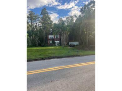 Lake Home Sale Pending in Lutz, Florida