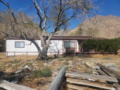 Lake Home For Sale in Walker Lake, Nevada