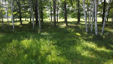 Priced at the 2024 assessed value this is a great opportunity to - photo 2