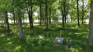 Priced at the 2024 assessed value this is a great opportunity to - photo 1