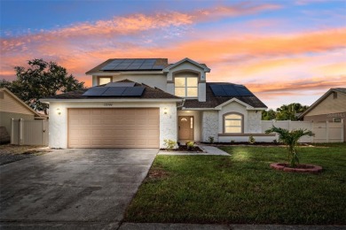 Lake Home For Sale in Riverview, Florida