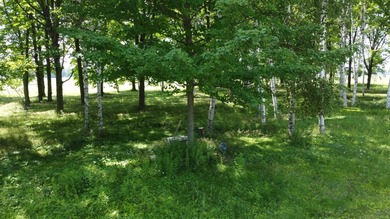 Priced at the 2024 assessed value this is a great opportunity to - photo 3