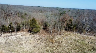 Lake Acreage For Sale in Mountain View, Arkansas