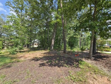 Lake Lot For Sale in Toccoa, Georgia