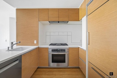 Welcome home to Residence 4M at Riverhouse. This sun-filled 1 - photo 4