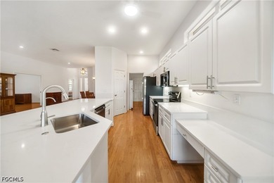 New White Quartz Countertops throughout and New Stainless Steel - photo 8
