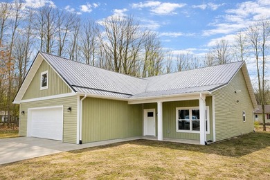 Lake Home For Sale in Canadian Lakes, Michigan