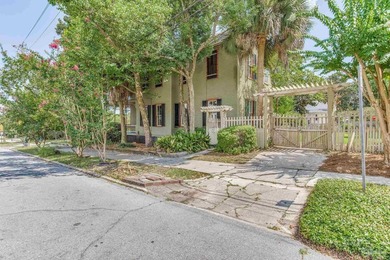 Welcome to 1017 N Palafox Street, a timeless Queen Anne - photo 47