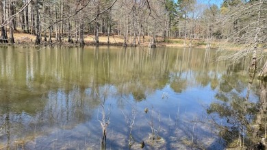 If your lookiing for a great quite lot on the lake, *you have - Lake Lot For Sale in Hemphill, Texas