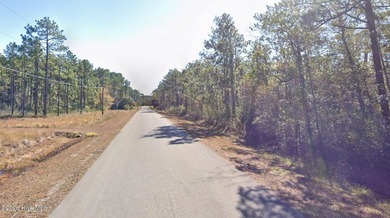 BUILD YOUR DREAM HOME on this BUILDABLE 0.26-ACRE LOT in the - photo 11