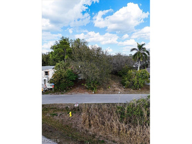 This 0.20-acre oversized residential lot is located in the - photo 20