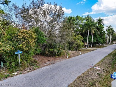 This 0.20-acre oversized residential lot is located in the - photo 22