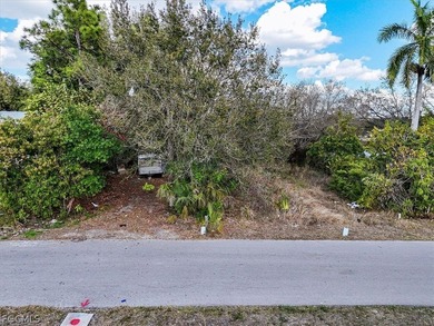 This 0.20-acre oversized residential lot is located in the - photo 23