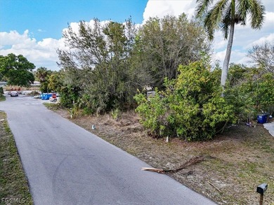 This 0.20-acre oversized residential lot is located in the - photo 24
