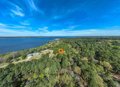 Wooded Lots in Lake Palestine Community - photo 4