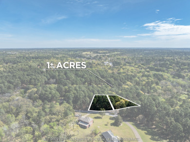Wooded Lots in Lake Palestine Community - photo 16
