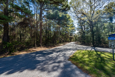 Wooded Lots in Lake Palestine Community - photo 14