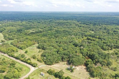 (private lake, pond, coastal) Acreage For Sale in Streetman Texas