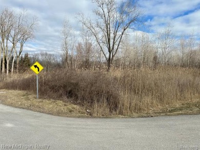 Lake Lot For Sale in Chesterfield, Michigan