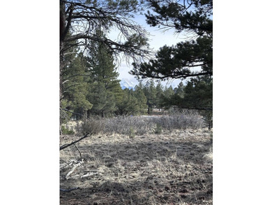 Don't miss this 1+ acre lot in Divide Ranch and Clubplete with a - photo 11