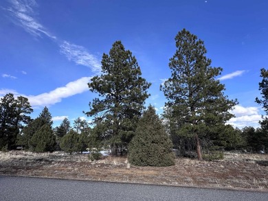 Don't miss this 1+ acre lot in Divide Ranch and Clubplete with a - photo 12
