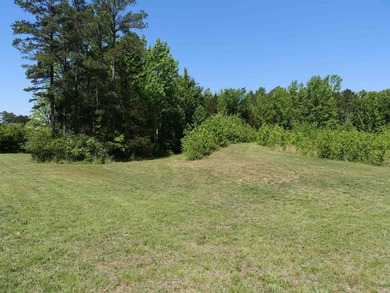 ACREAGE. Check out this newly remodeled light-filled home on - photo 13