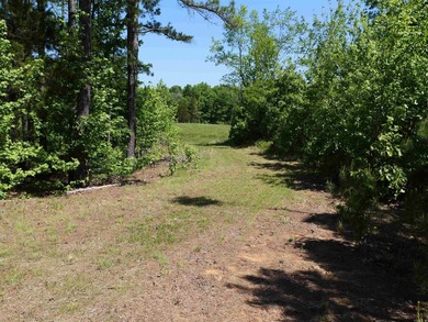 ACREAGE. Check out this newly remodeled light-filled home on - photo 16