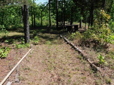 ACREAGE. Check out this newly remodeled light-filled home on - photo 17